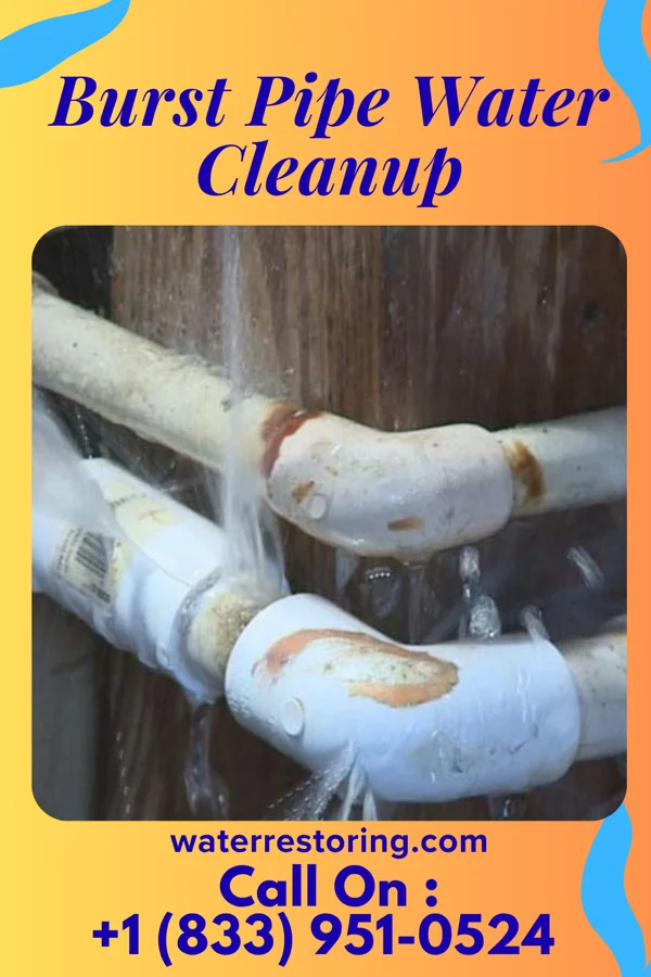 Burst Pipe Water Cleanup in Lawrenceville, IL