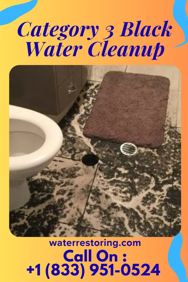 Category 3 Black Water Cleanup in Lawrenceville, IL