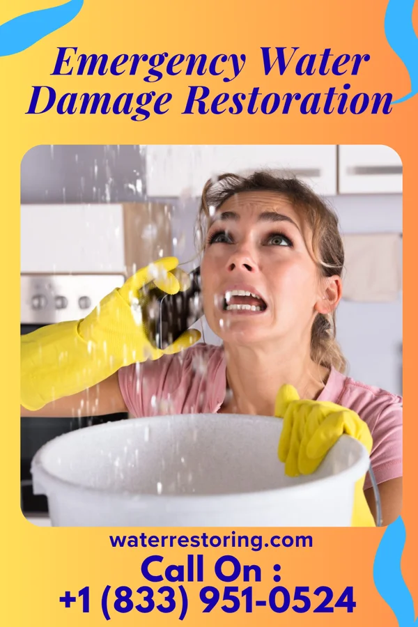 Emergency Water Damage Restoration in Lawrenceville, IL