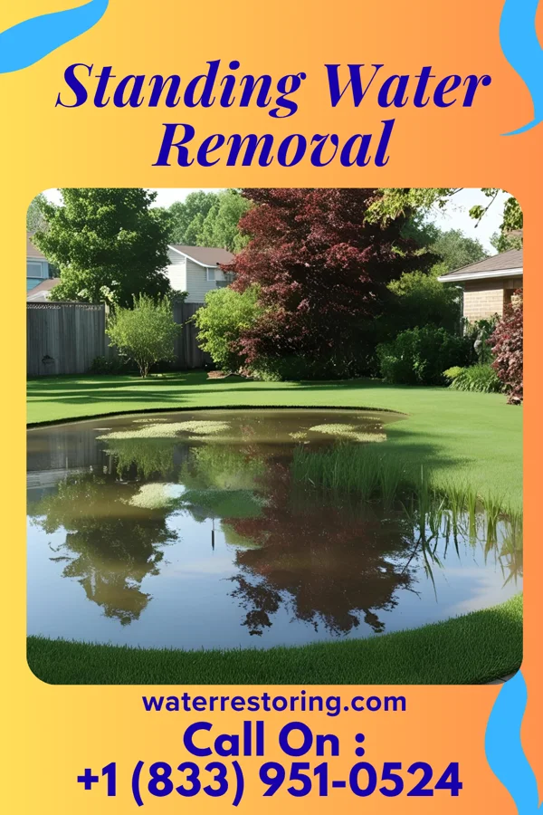 Standing Water Removal in Lawrenceville, IL